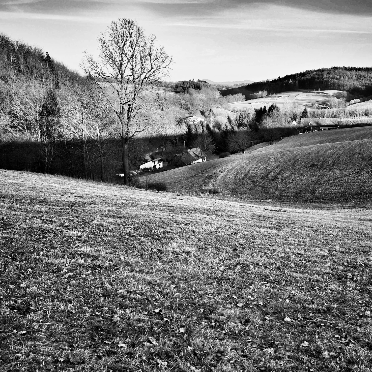 Tam zaczyna się noc