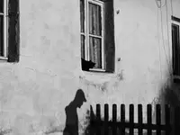 Podejdź no do płota...