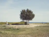 Ostatnie ciepłe dni