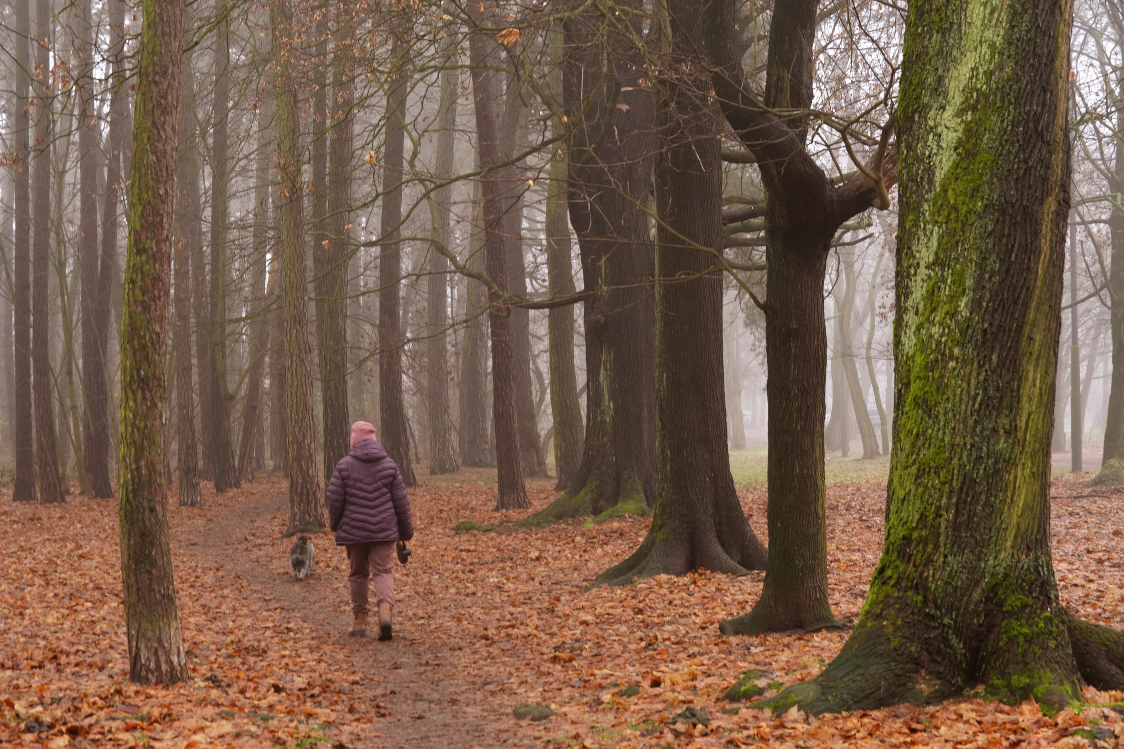 spacer z przyjacielem 