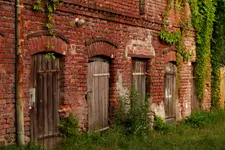 komórki 