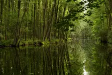 Niebieskie Źródła 3