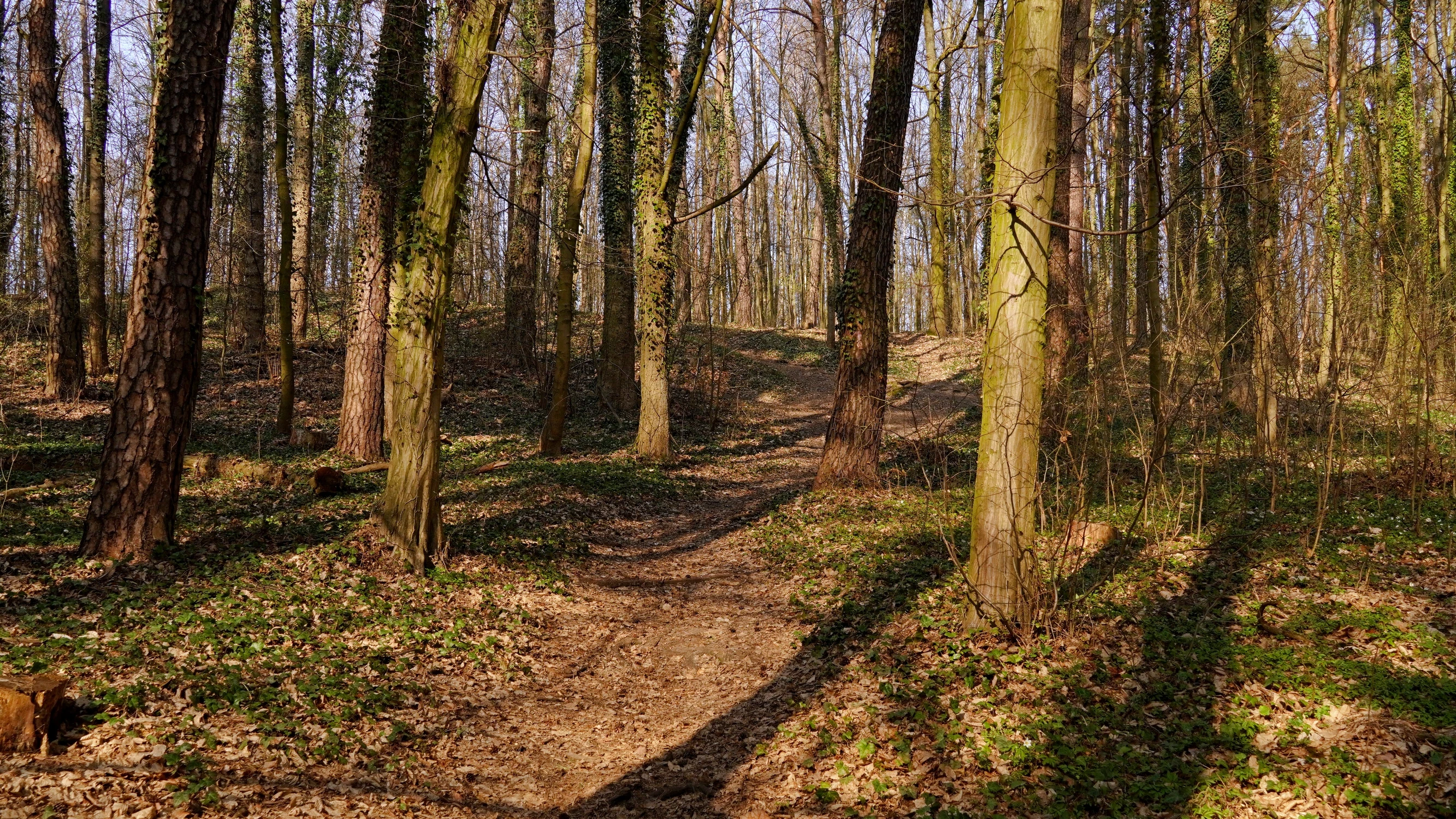 "moja" ścieżka rowerowa