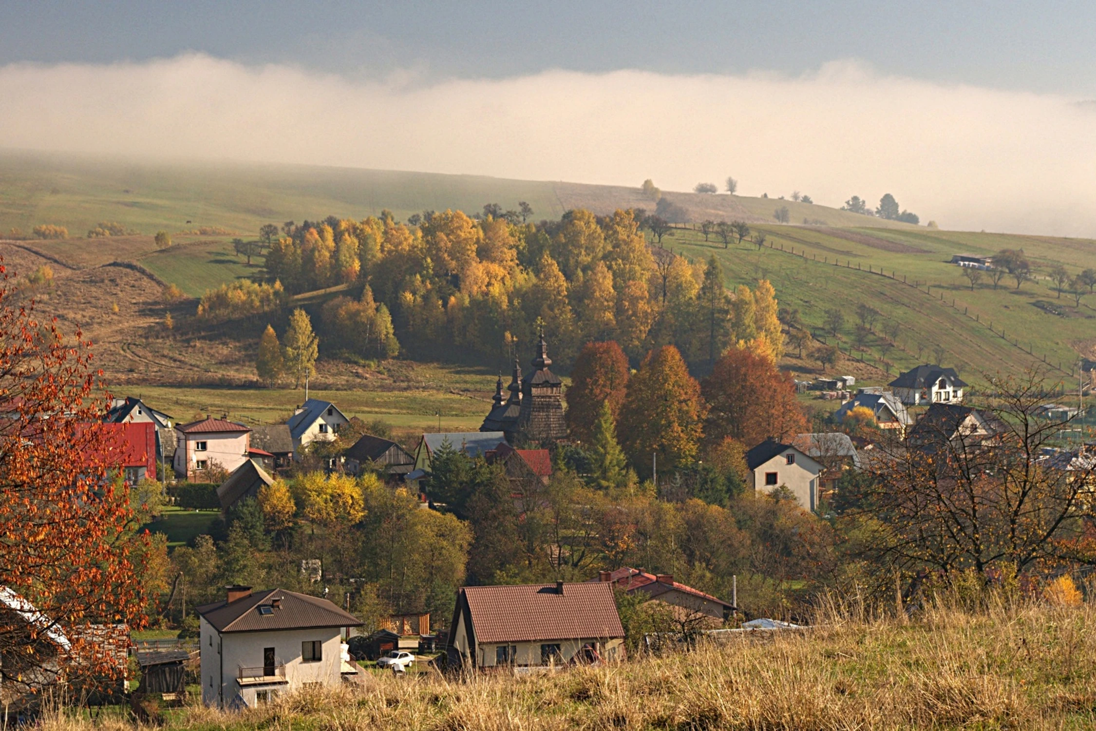 Szczawnik