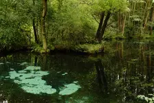 Niebieskie Źródła 4