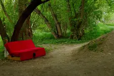 na "mojej" łące :(