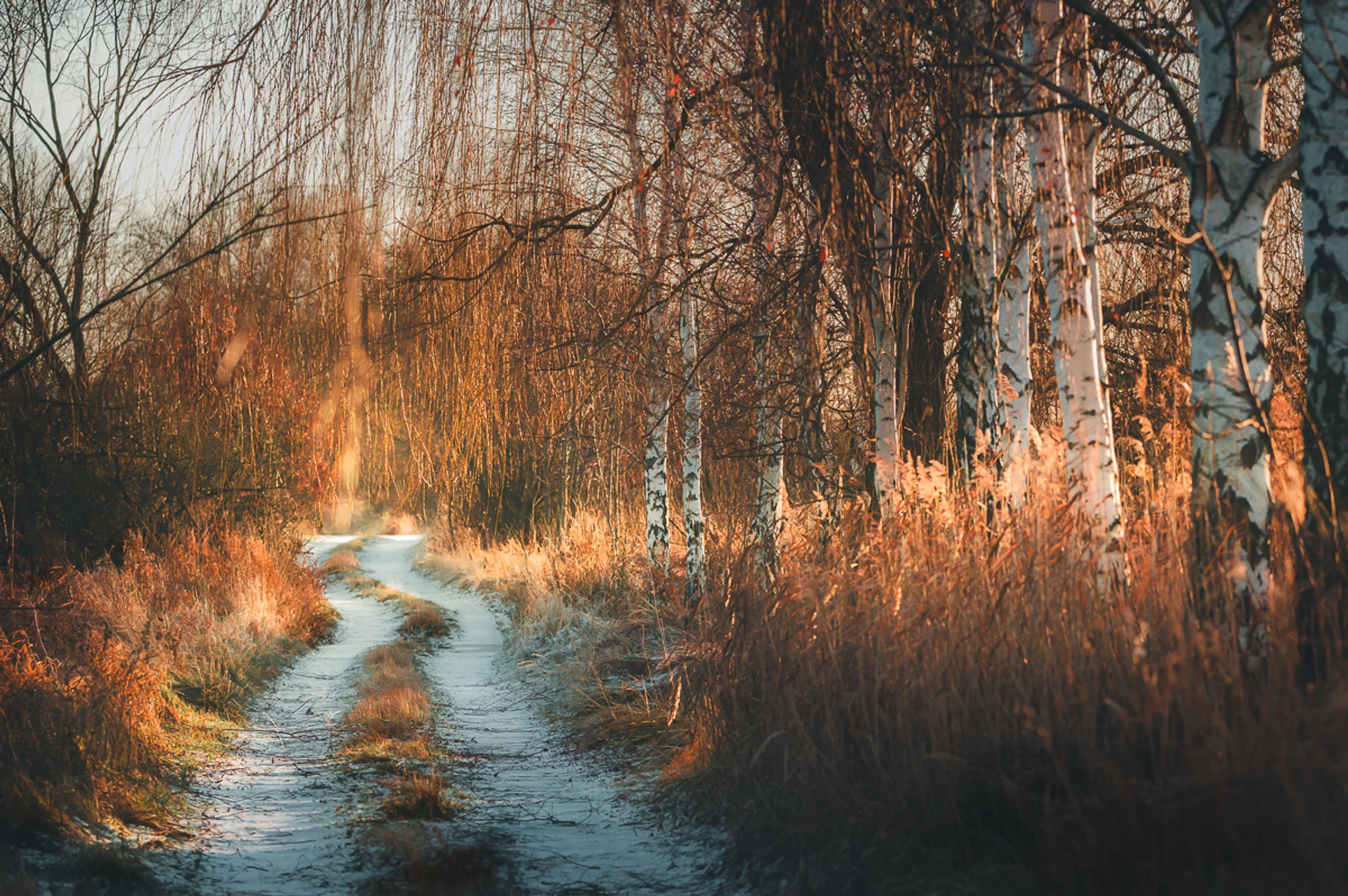 W ciepłym świetle poranka