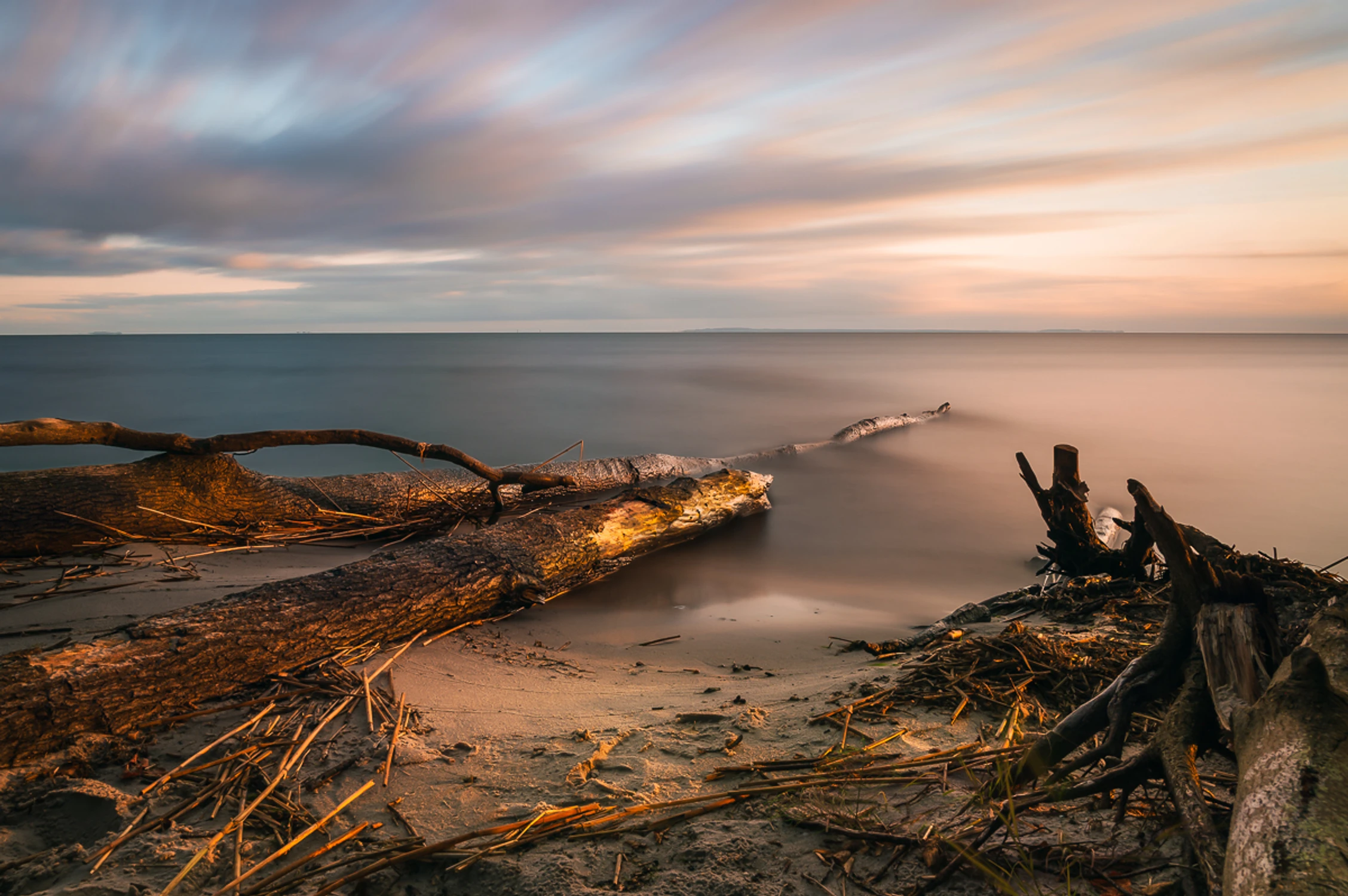 Plaża wykrotów