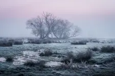 Zmrożony na różowo wschód