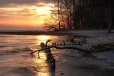 Dzika plaża