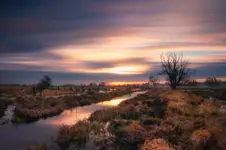 Gorący świt na łąkach