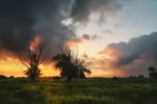 Powiew jesieni