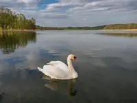 SUWALSZCZYZNA
