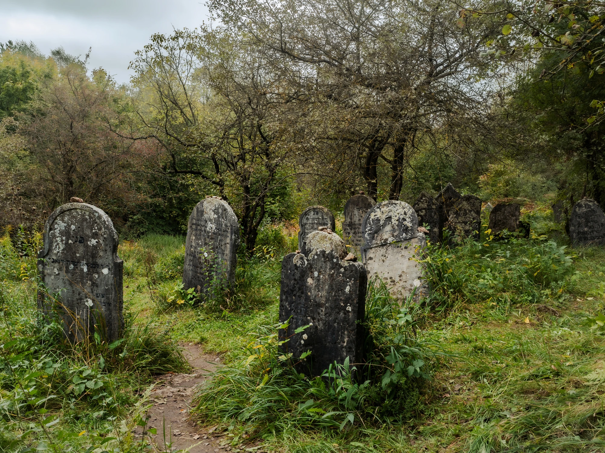 ŚCIEŻKI TYCH KTÓRZY ODESZLI