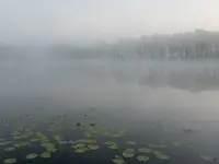 PORANEK