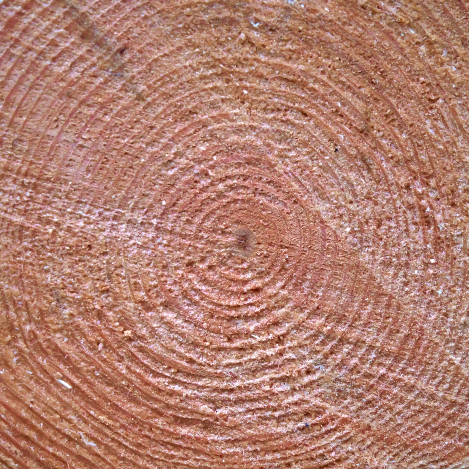 Wood