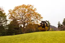 Sphere Within Sphere