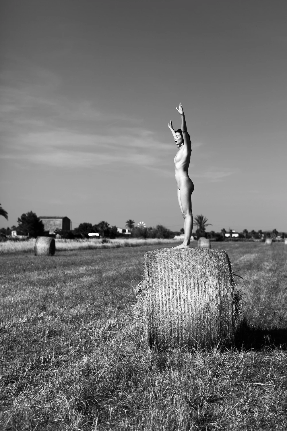 Freedom