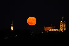 Truskawkowa pełnia nad Chełmnem II