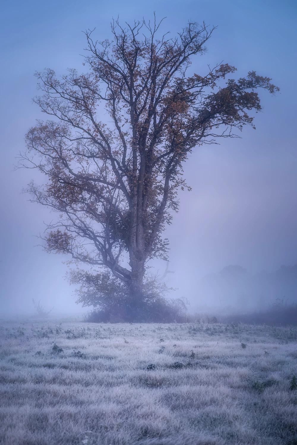 Na granicy punktu rosy