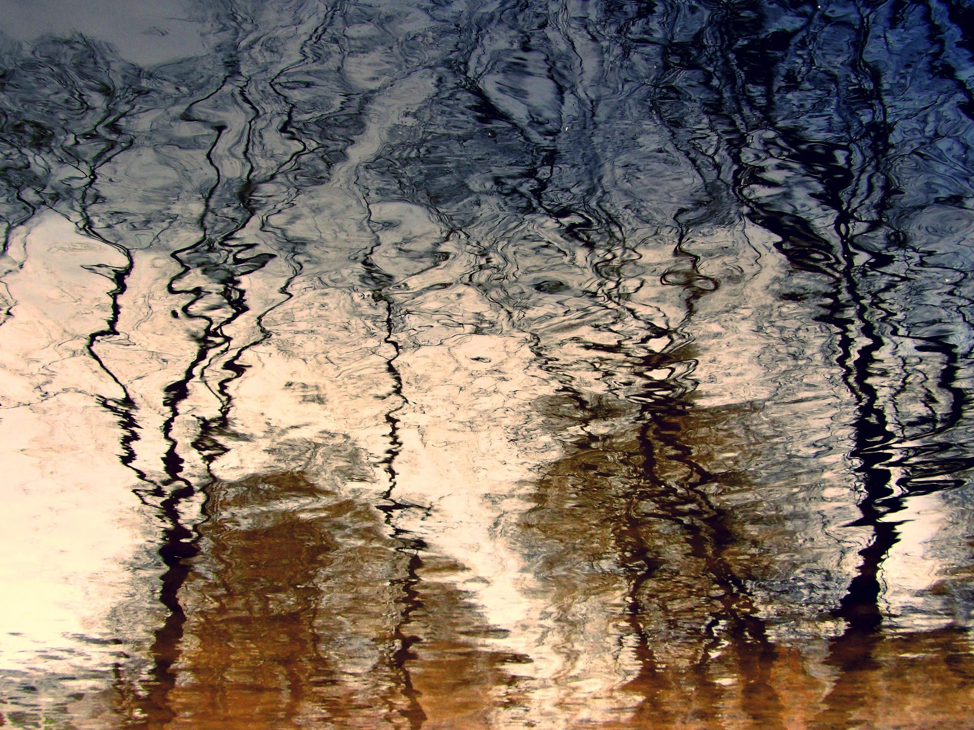 Obraz na wodzie malowany ROZMOWA DRZEW 