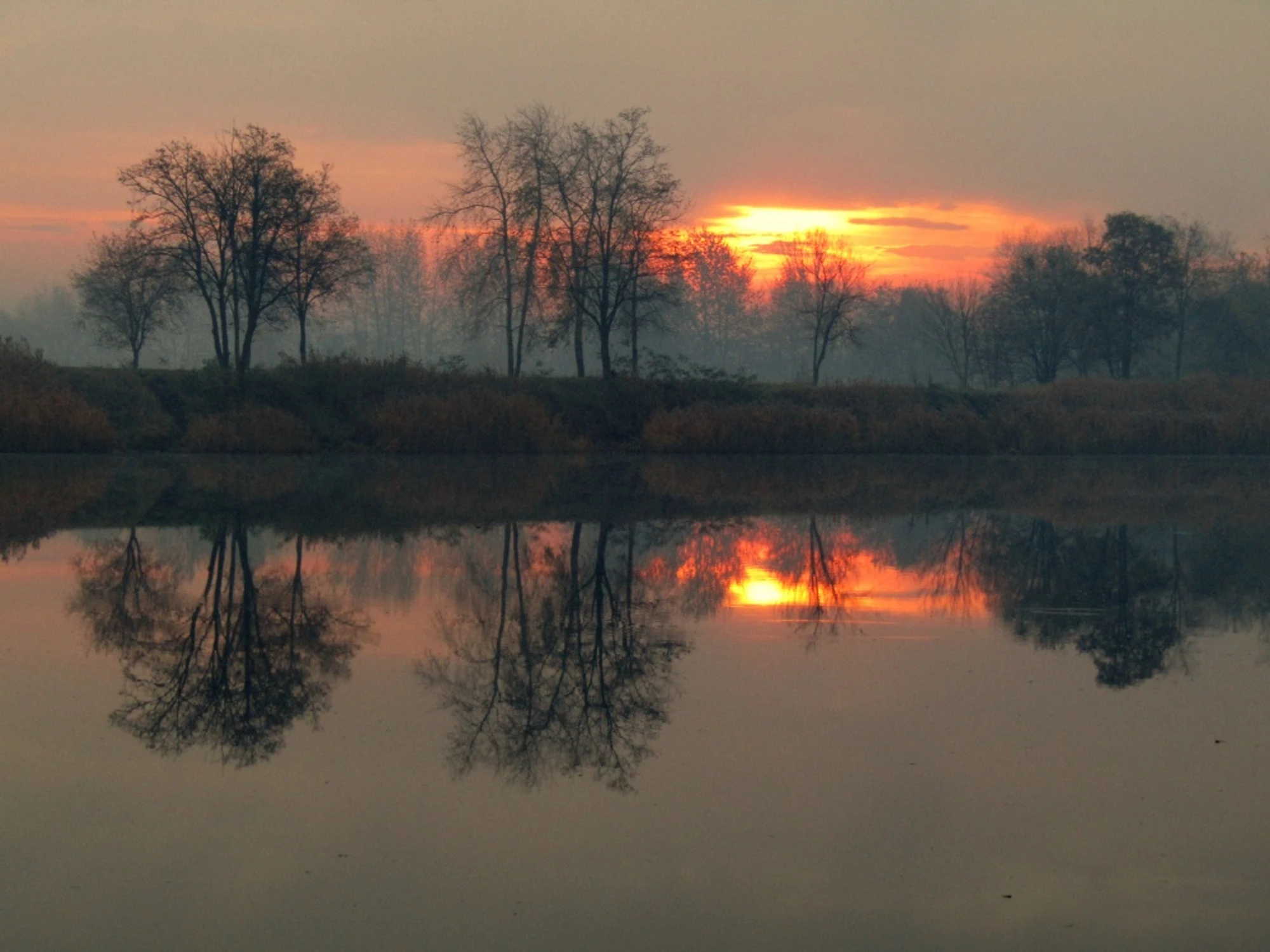 Świt 