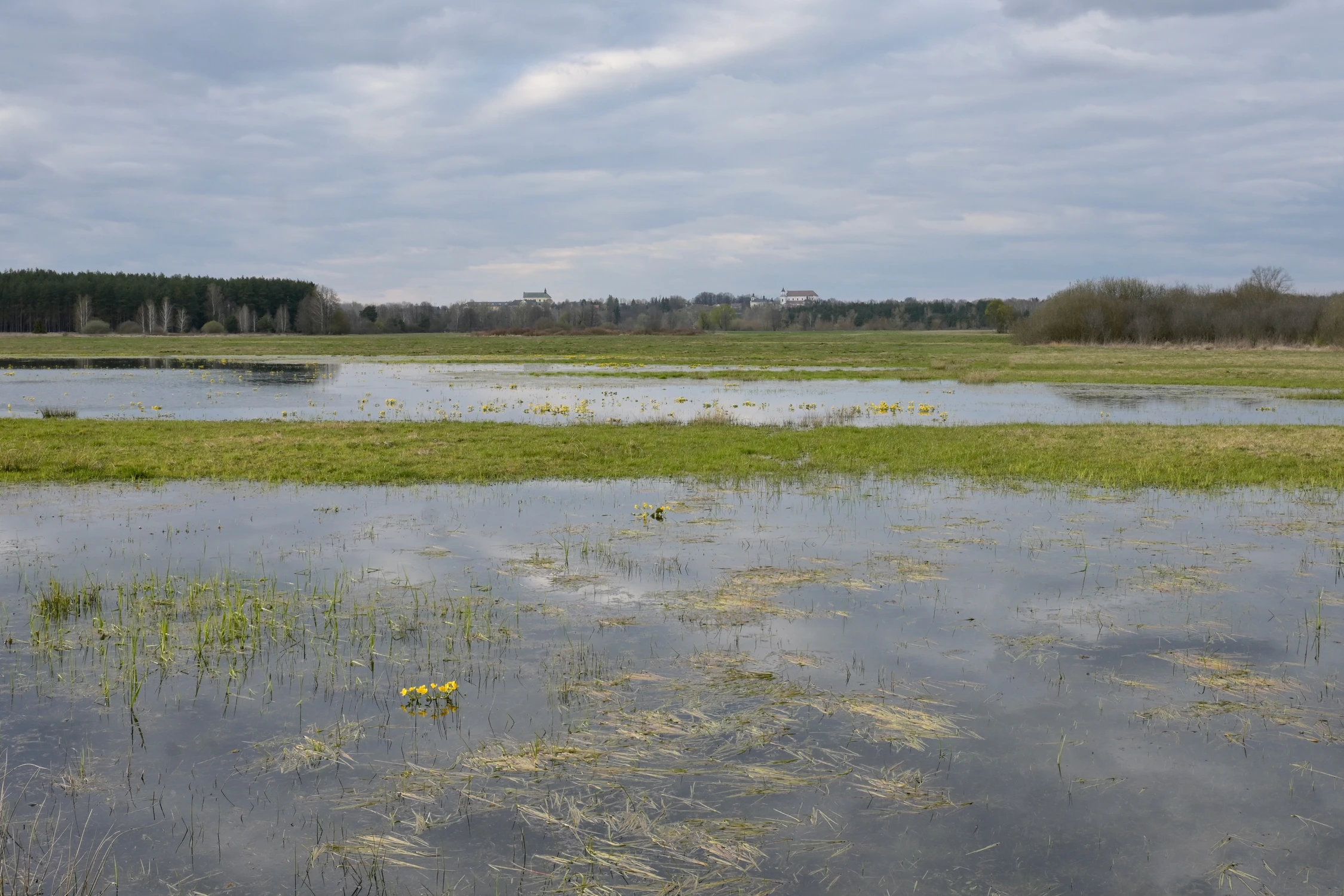 Kaczeńce i Drohiczyn