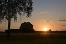 Złoty wieczór