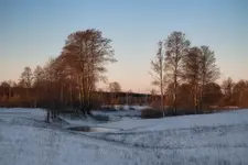 Zimowy poranek nad mokradłami