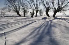 Ślad na śniegu