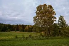 Ostatnie promienie słońca