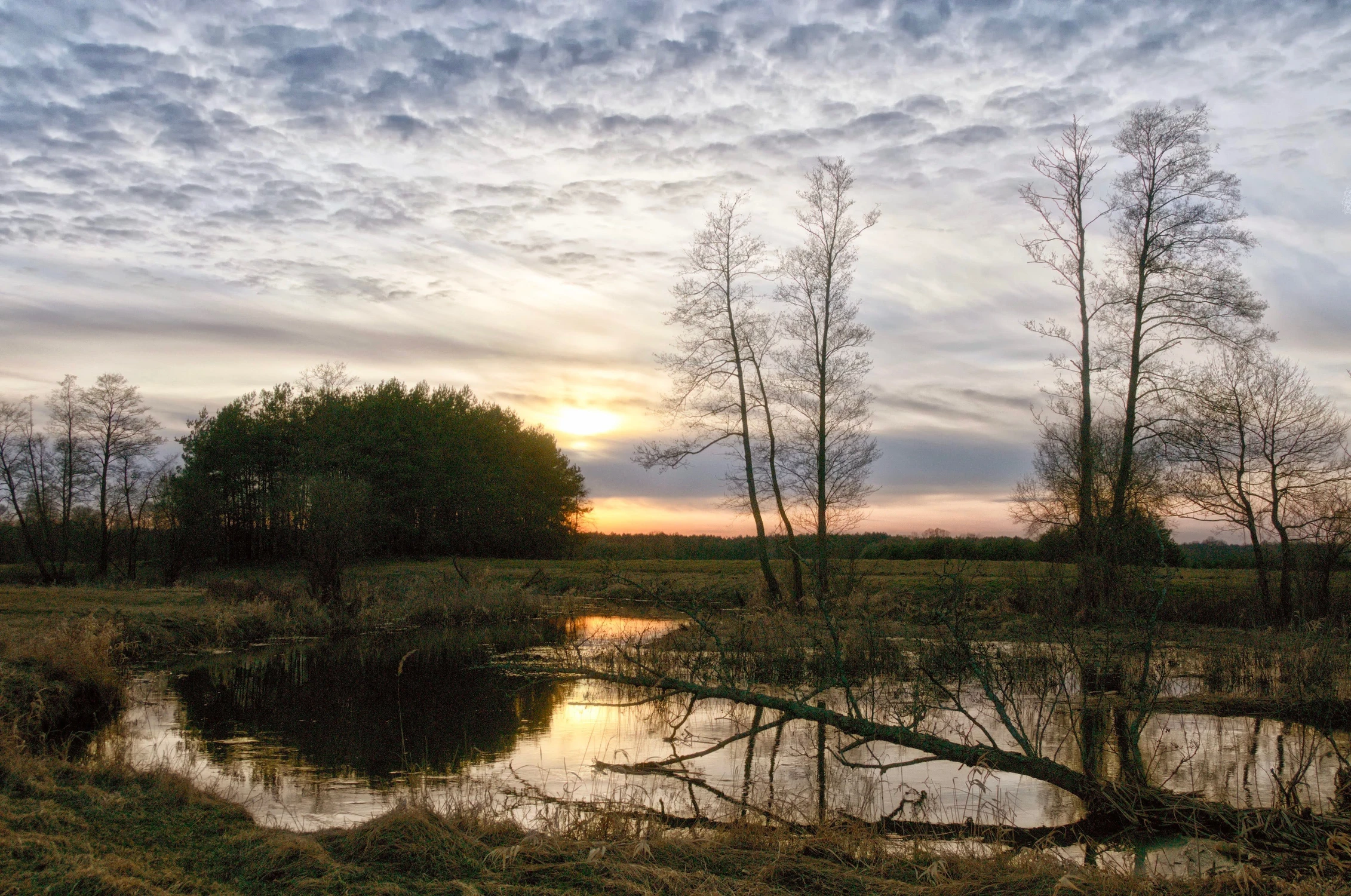 Przed zachodem słońca