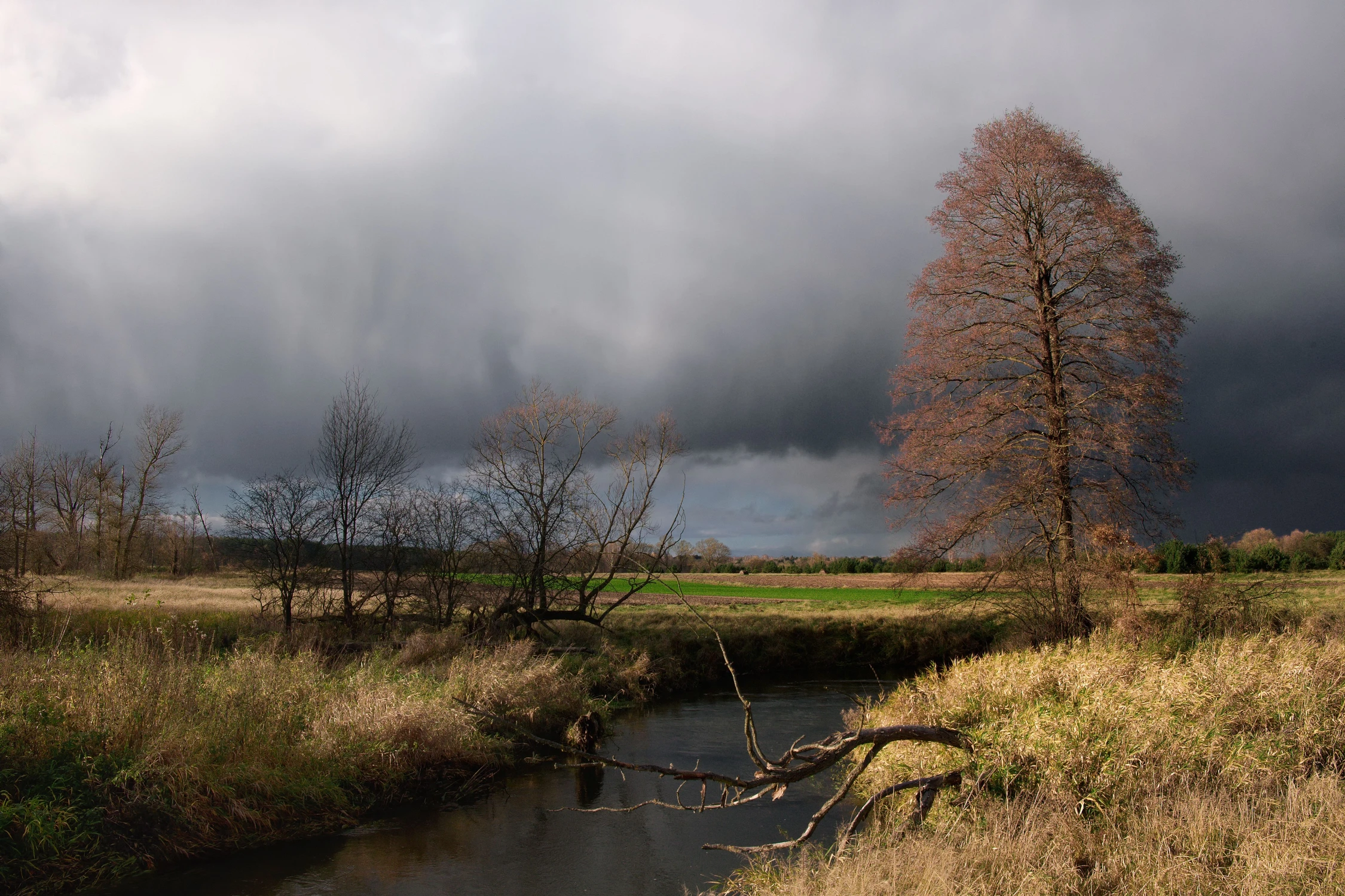 Listopad nad rzeczką