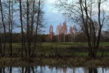 Grudniowe popołudnie