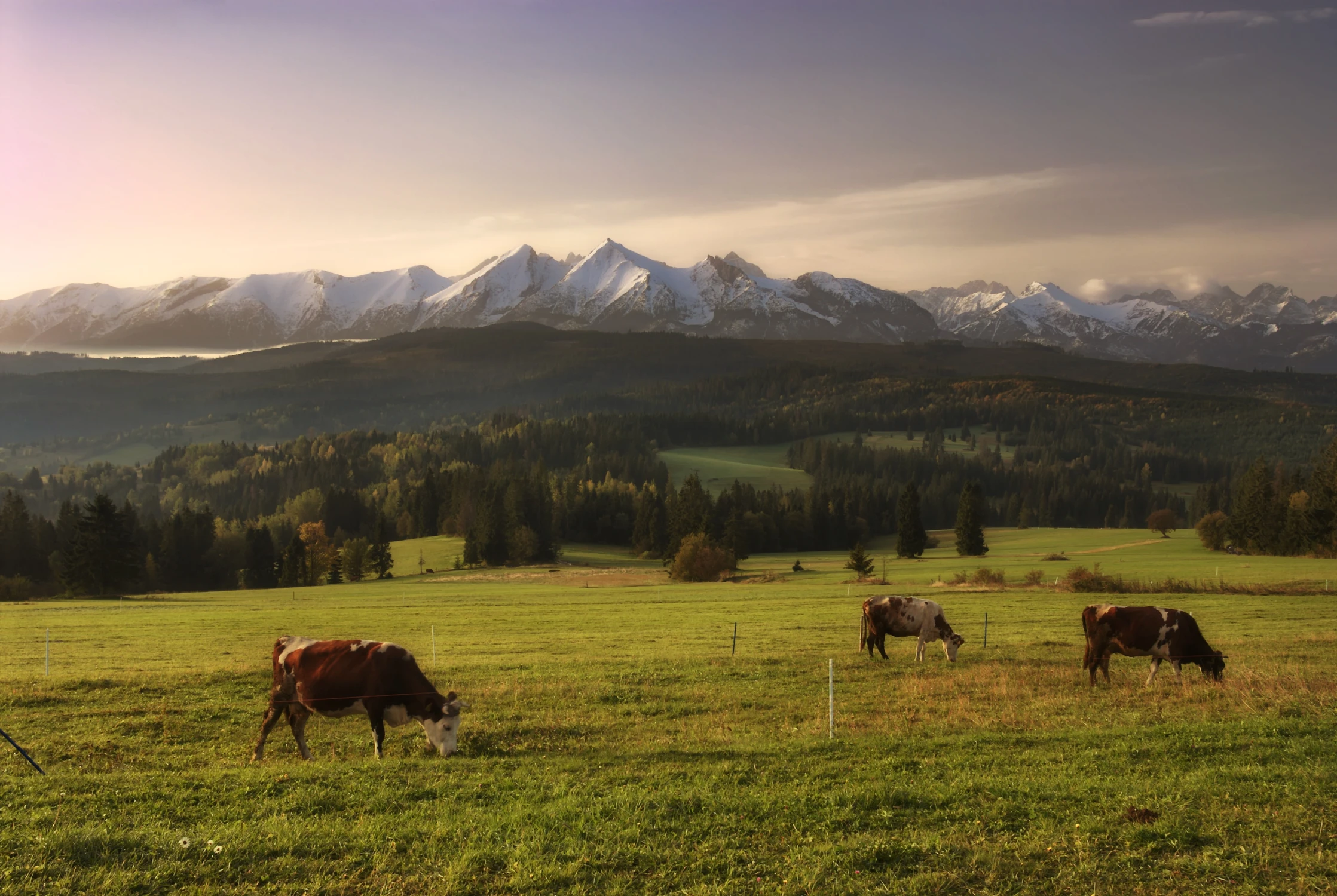 Poranek w Łapszance