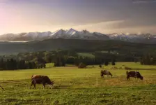 Poranek w Łapszance