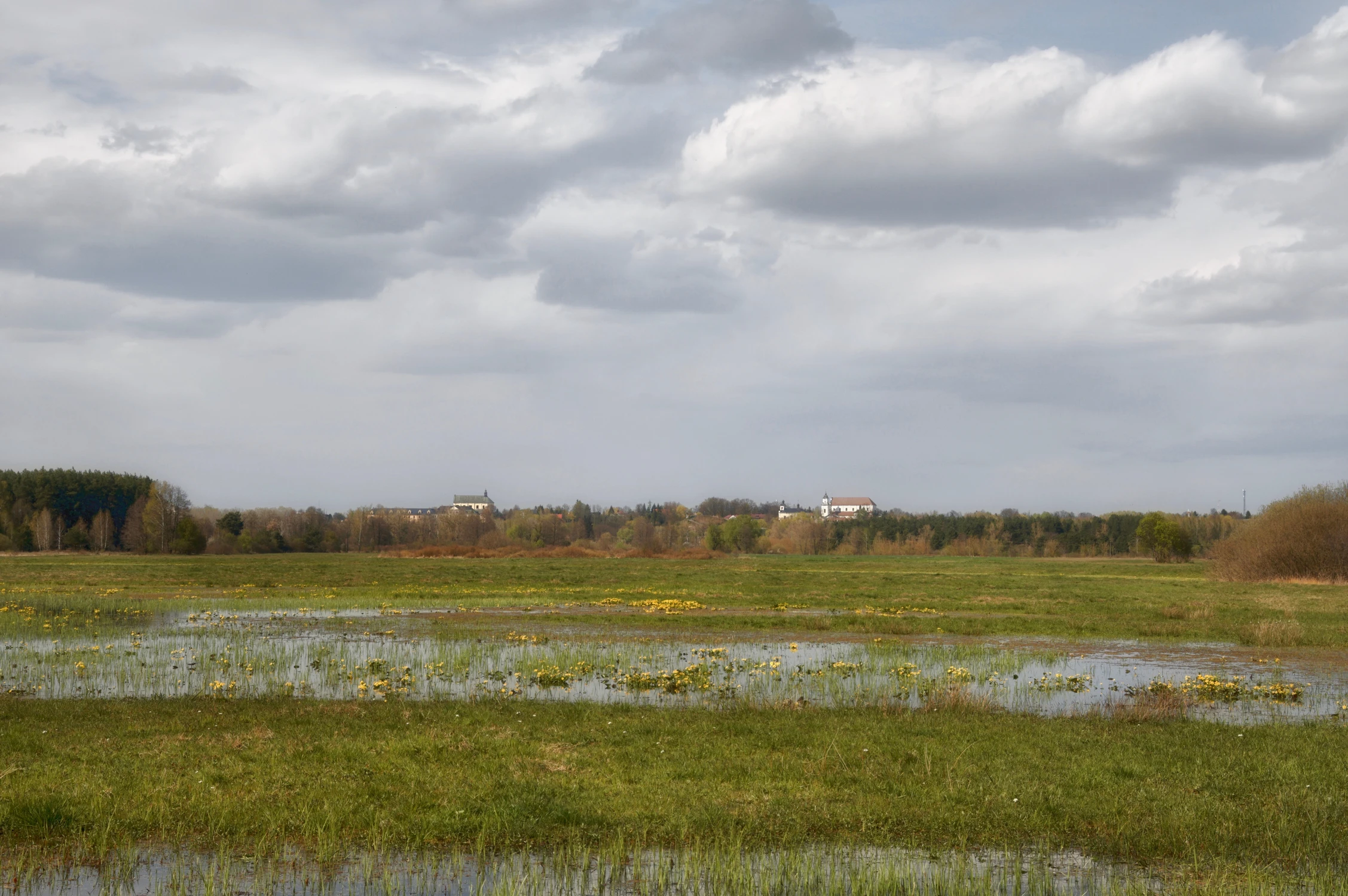 Kaczeńce i Drohiczyn