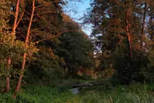 Ostatnie promienie słońca