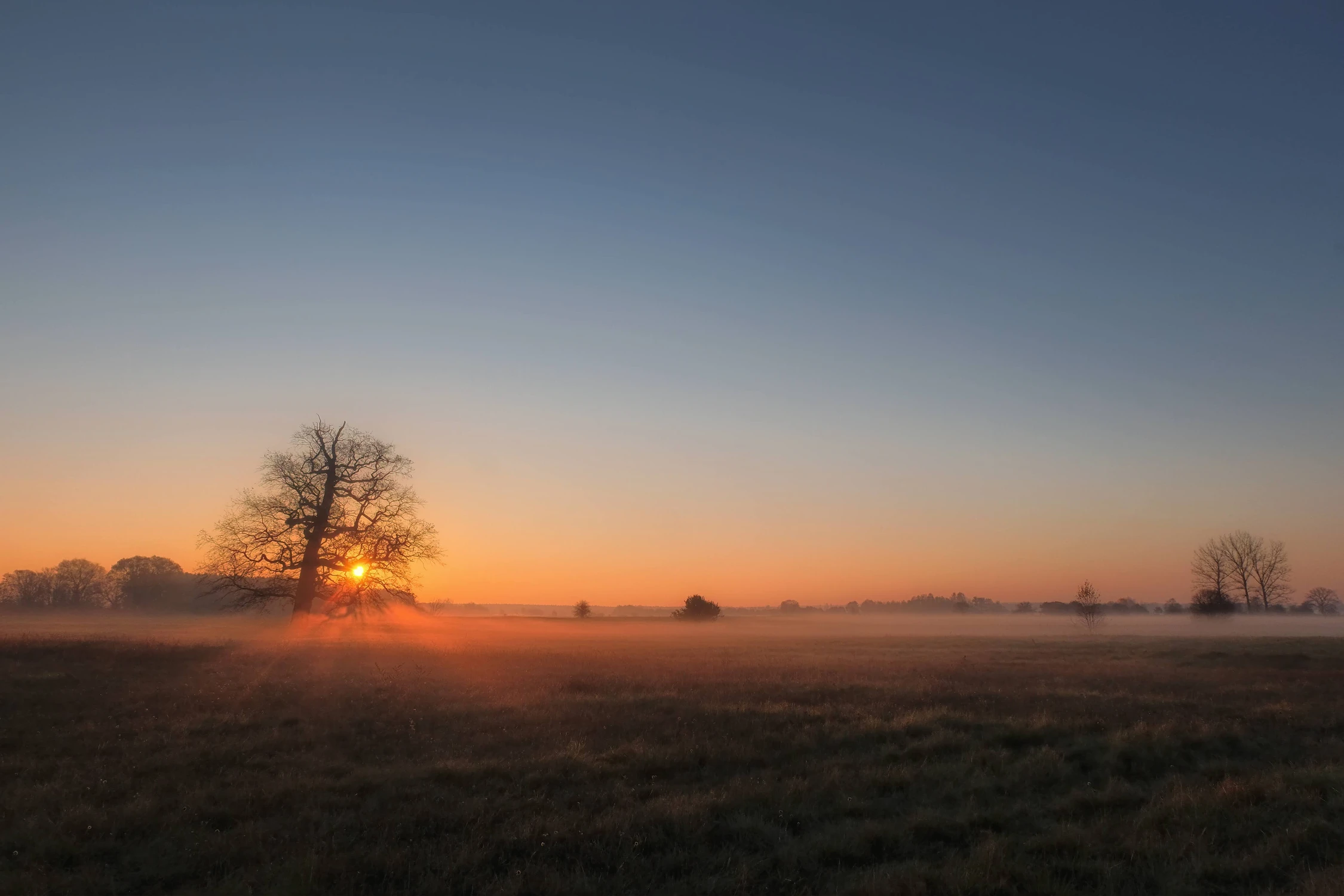 Wschód słońca nad łaką
