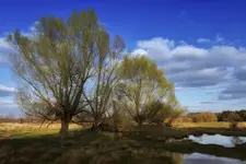 Nadbużańskie okolice