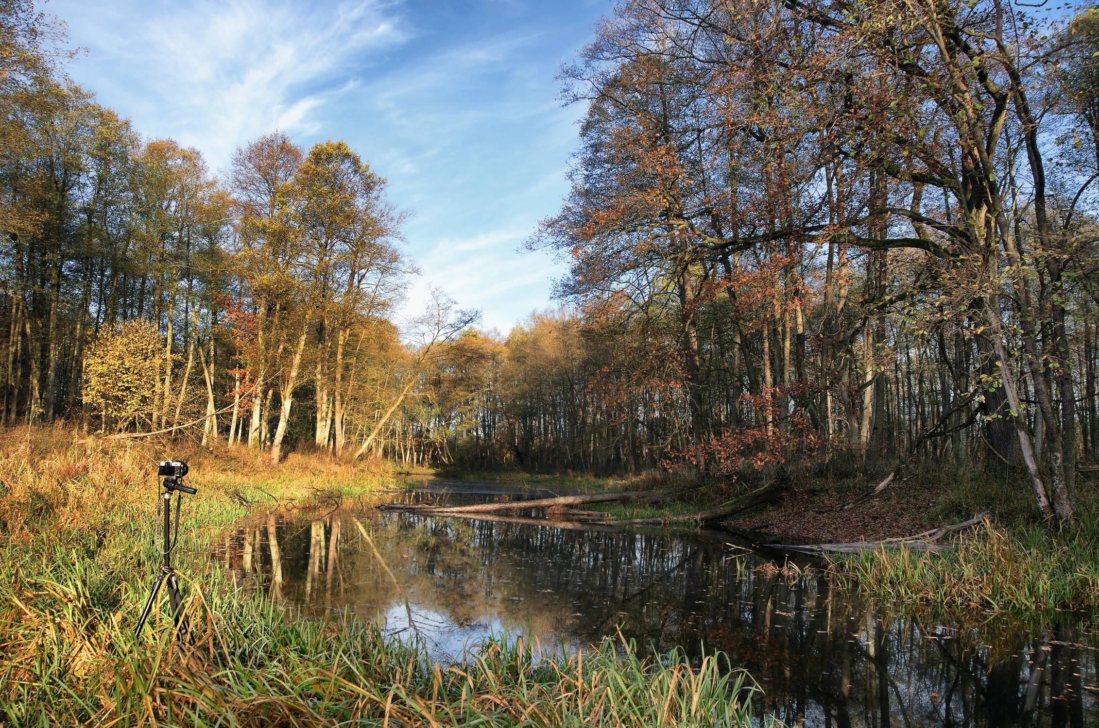 Jesienny pejzaż fotogeniczny