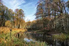 Jesienny pejzaż fotogeniczny