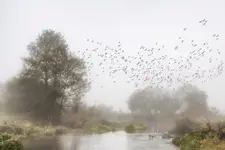 Poranek nad rzeczką