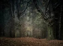Strażnicy lasu.