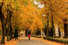 Jesień idzie przez park