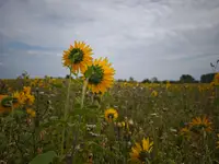 IMG_20260805_141906