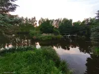 STAW