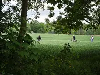 IMG_20260520_144821