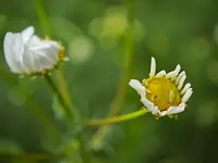 IMG_20260612_131142