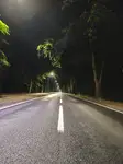 1000002223